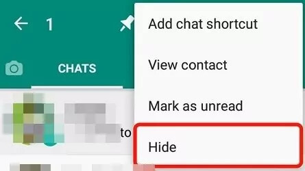 hide whatsapp on gb whatsapp