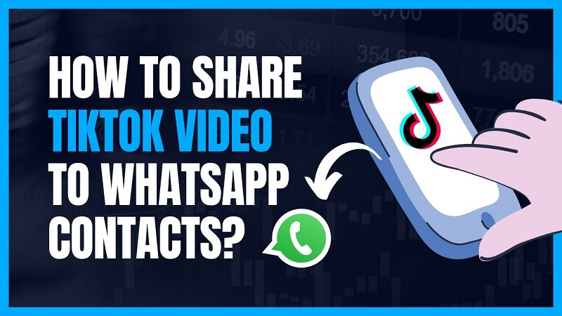 how to sahre tiktok videos to whatsapp contact