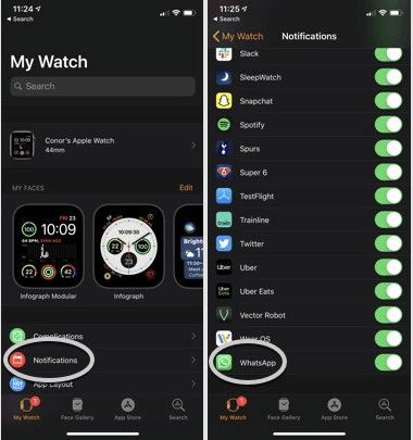 how to use whatsapp on apple watch