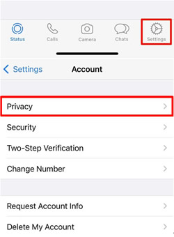 open iphone privacy