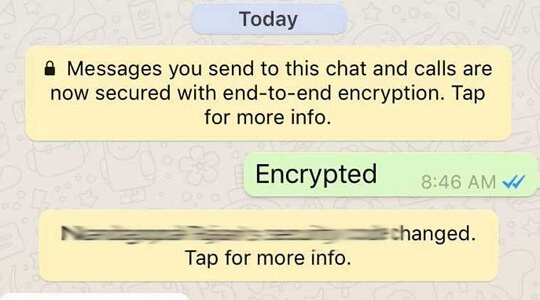 Read Encrypted WhatsApp Messages