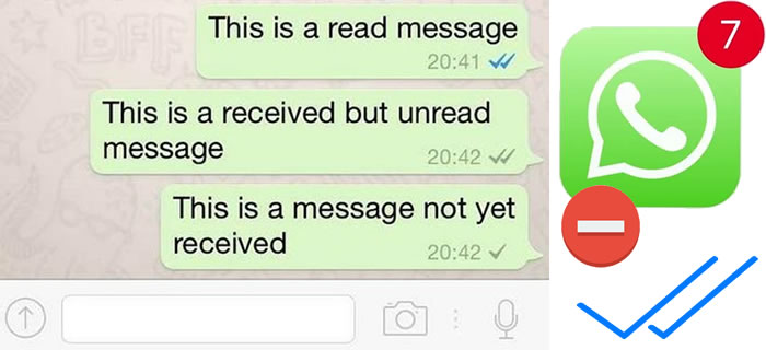 remove blue tick from whatsapp
