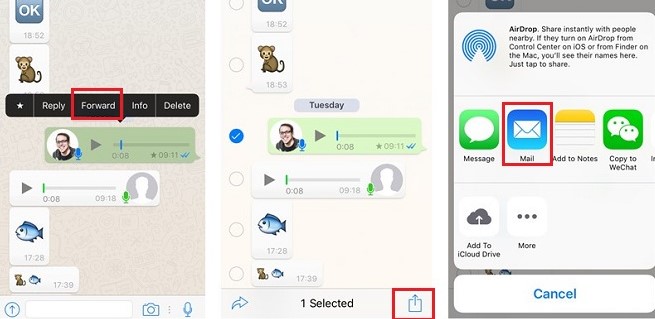 save whatsapp audio on iphone with email