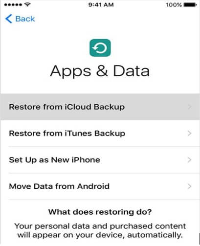 select restore from iCloud backup