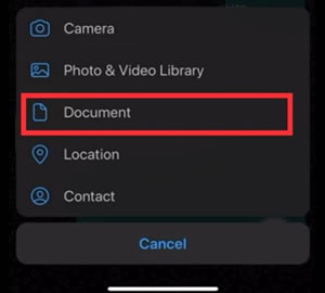 share large video as document on iphone
