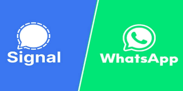 Signal vs. whatsapp