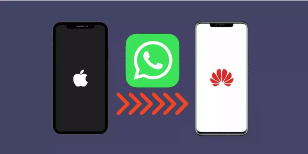 transfer whatsapp to huawei from iphone