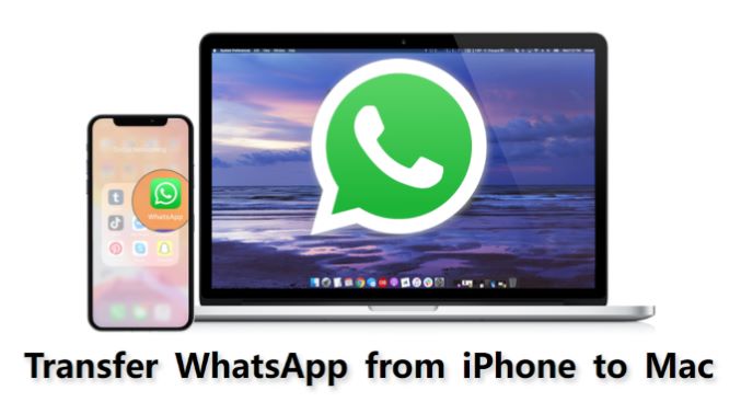 transfer whatsapp from iphone to mac