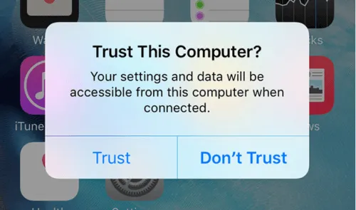 trust this computer alert prompt