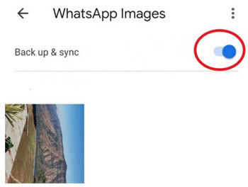 turn on backup and sync of whatsapp images