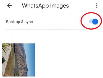 sync whatsapp photo on google photo