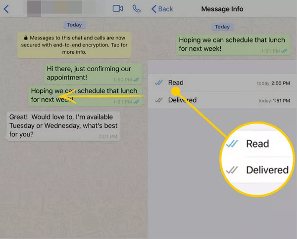 Understanding WhatsApp's Check Marks: Your Complete Guide to