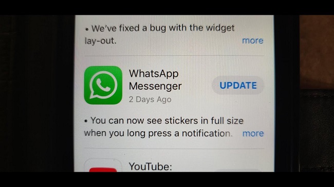 update option whatsapp