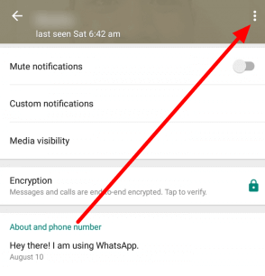 prepare delete one contact on whatsapp