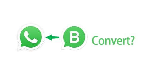 convert whatsapp business to whatsapp
