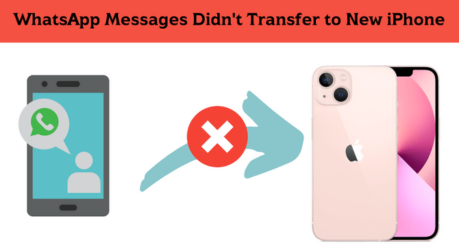 whatsapp did not transfer to new iphone