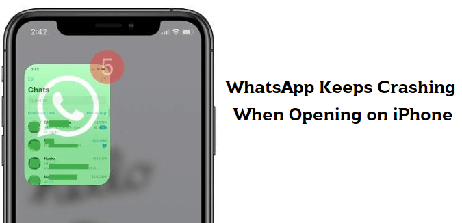 whatsapp keeps crashing when opening on iphone