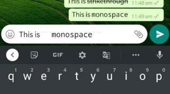 text monospace WhatsApp