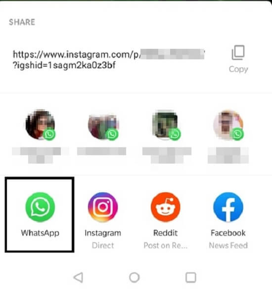 whatsapp sharing options
