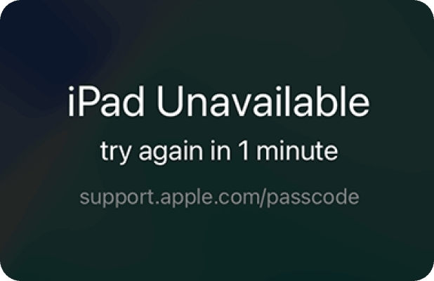 iPad unavailable screen