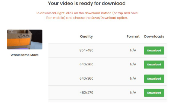 download video in Ripsave