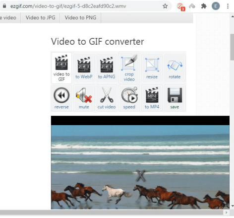 How to Convert Reddit Video to GIF? 2 Effective Methods - MiniTool