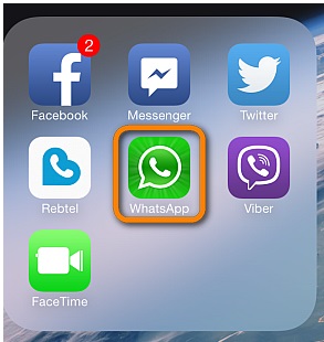 WhatsApp icon