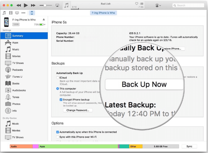 backup text messages for iphone to mac