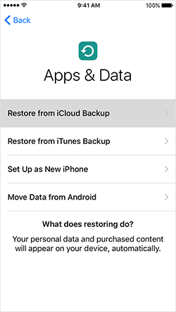 restore from icloud backup