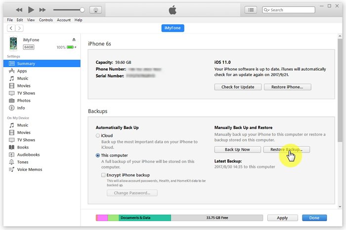 Restore Device from iTunes Backup