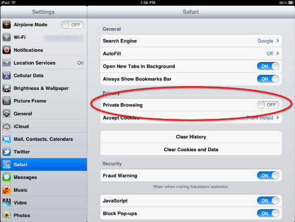 ipad Private Browsing