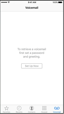  set up voicemail