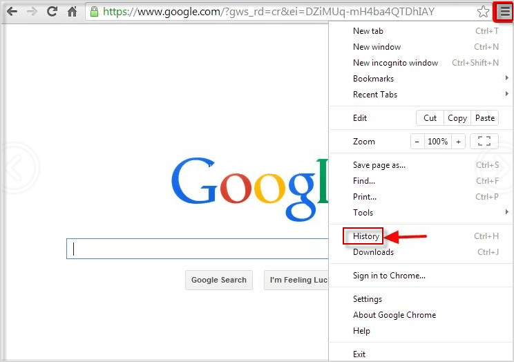 google search hostory