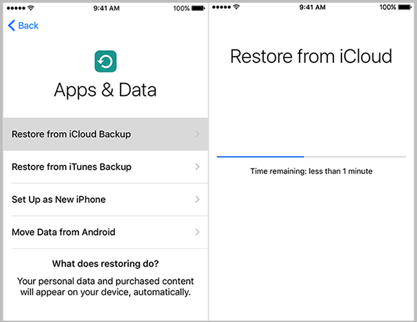 restore from icloud