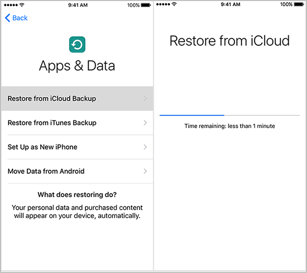 Restore-from-iCloud