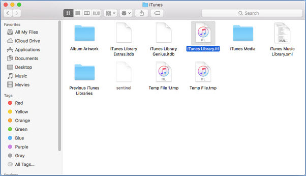 delete iTunes Library.itl