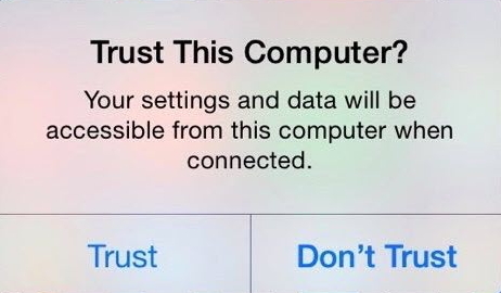 trust this computer