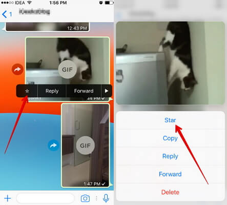 Create a GIF directly in WhatsApp 