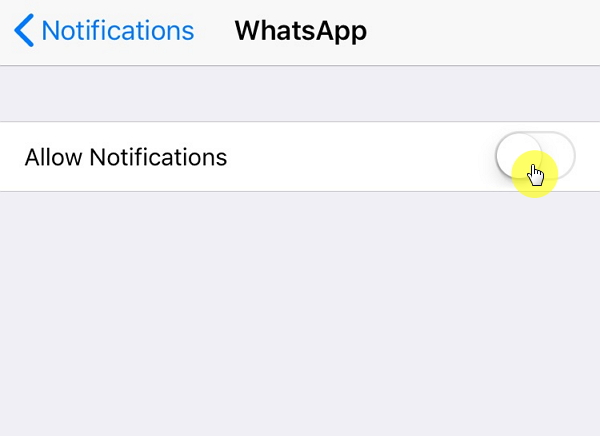 whys whatsapp not working