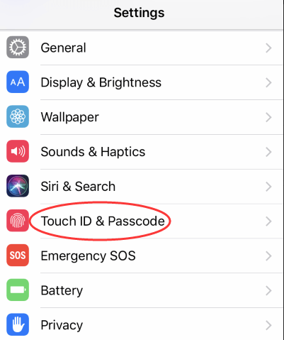Touch ID & Passcode
