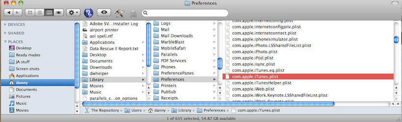 Delete iTunes Preference Files
