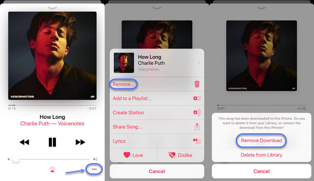 apple music app song remove download