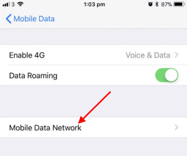 Mobile Data Network