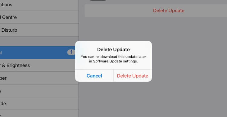 delete ipados update