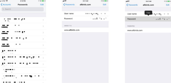 find-accounts-passwords-on-iphone