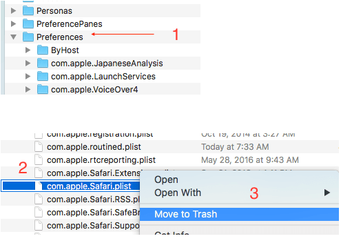 delete safari preference file