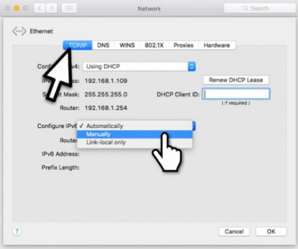 disable-ipv6