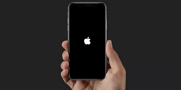 apple logo flashes on and off iphone 12