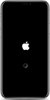 screen black on iphone 11