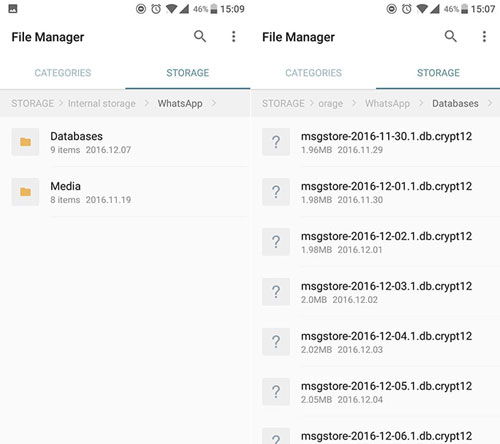 Files manager of WhatsApp